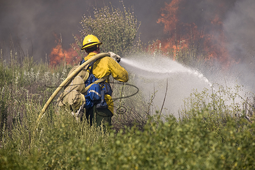US Forest Service Firefighter attacking flame