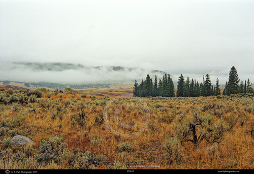 Misty Morning over Blacktail Plateau