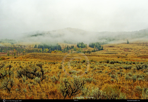 Misty Morning over Blacktail Plateau