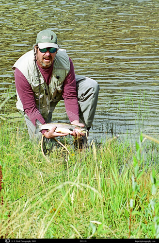 Fly Fisherman holding Rainbow Trout