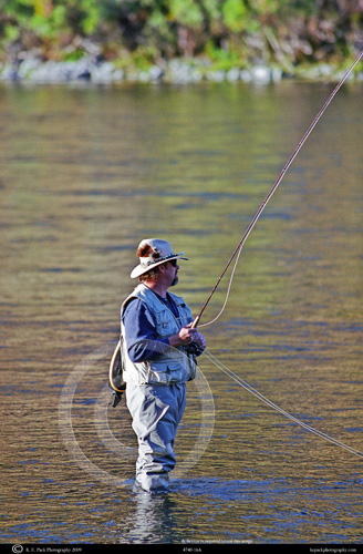 Fly Fishing on the Missouri