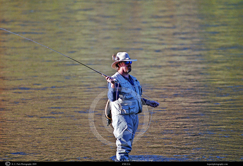 Fly Fisherman casting
