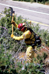 Firefighting, Firefighter
