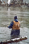 Fly Fishing on the Madison River
