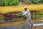 Fly Fishing on the Gibbon River